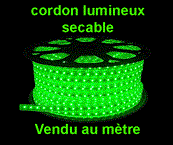 Cordon lumineux 13mm,220V,led vert