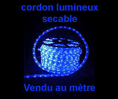 Cordon lumineux 13mm,220V,led bleu